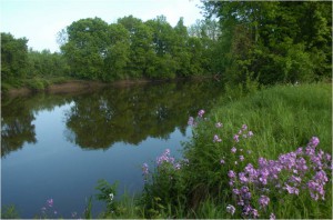 TipRiver